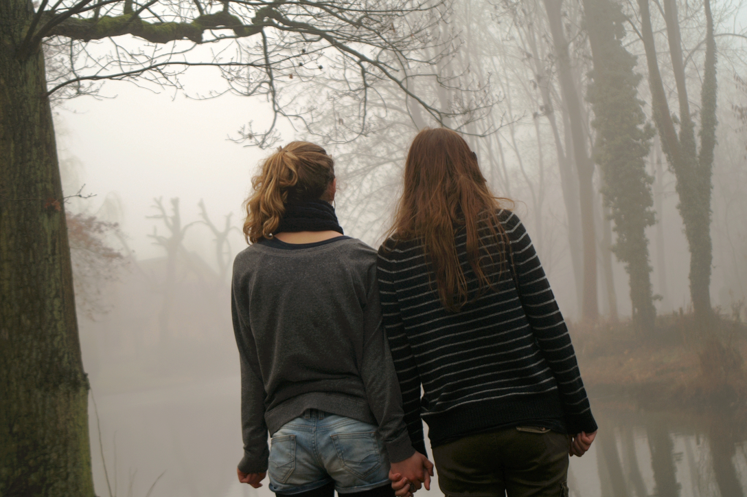 Two teenagers holding hands. They have their backs turned towards the camera. There is a foggy forest landscape in the background.
